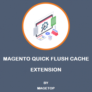 Magento 2 Quick Flush Cache Extension