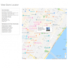 Magento 2 Store Locator View Details